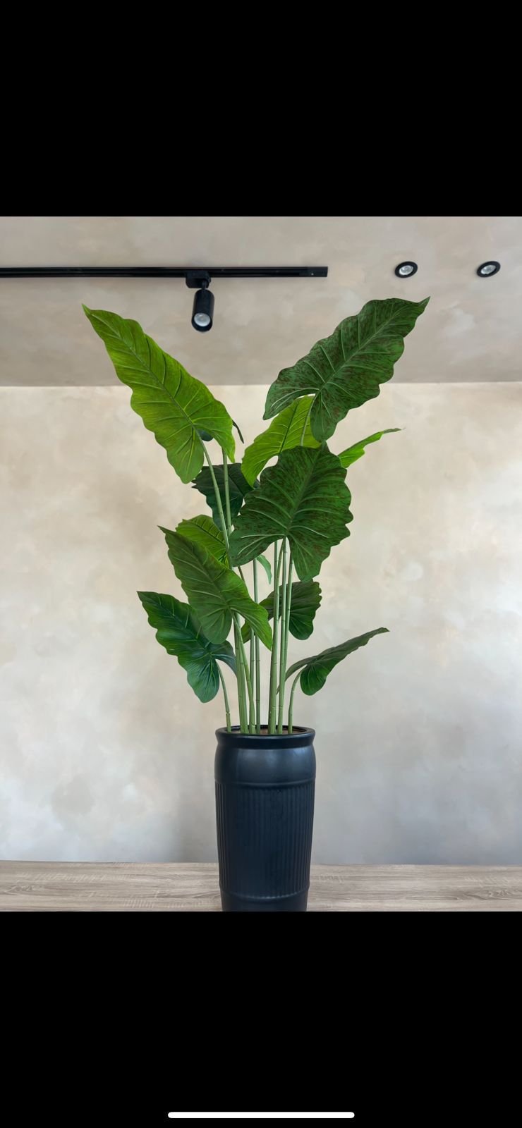 Alocasia Elephant Ear (Artificial)