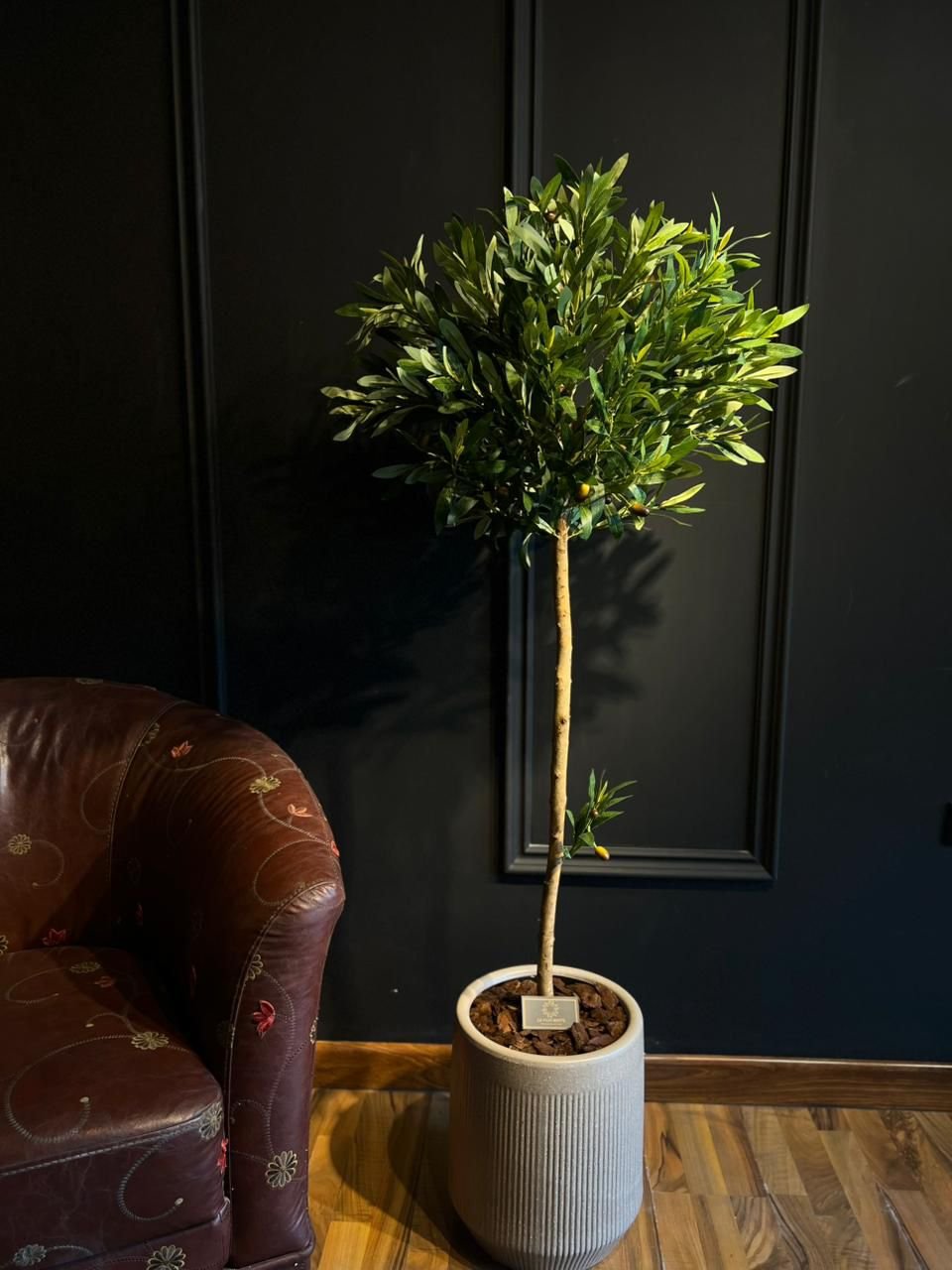 Olive Tree (Artificial)