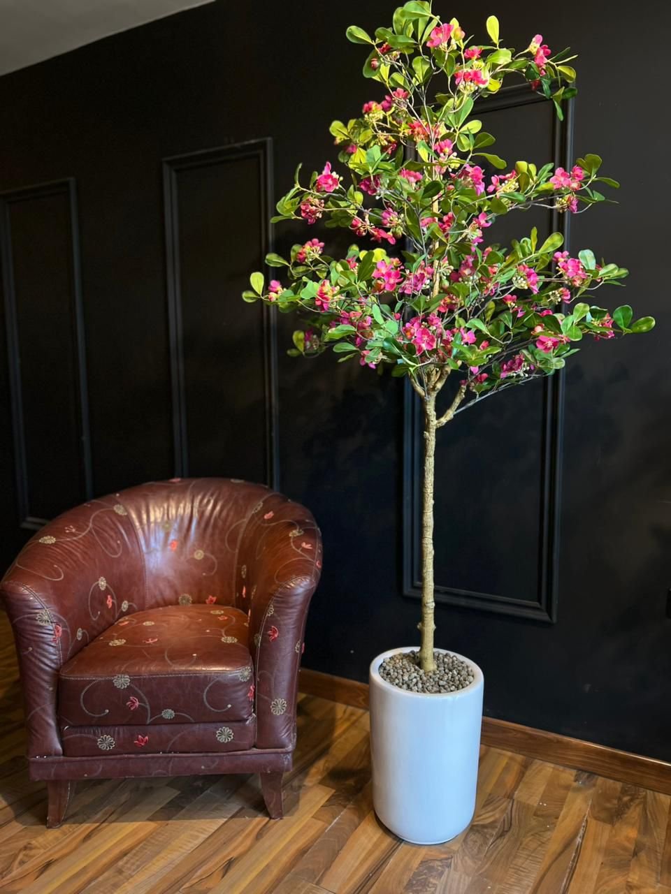 Pink Crown of Thorns Tree