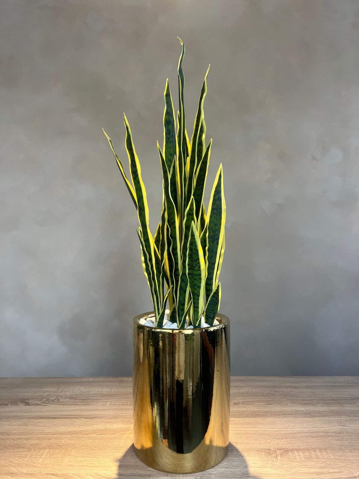 Artificial Snake Plant