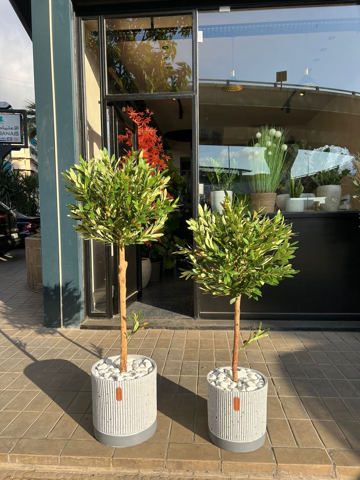 Premium Artificial Olive Tree