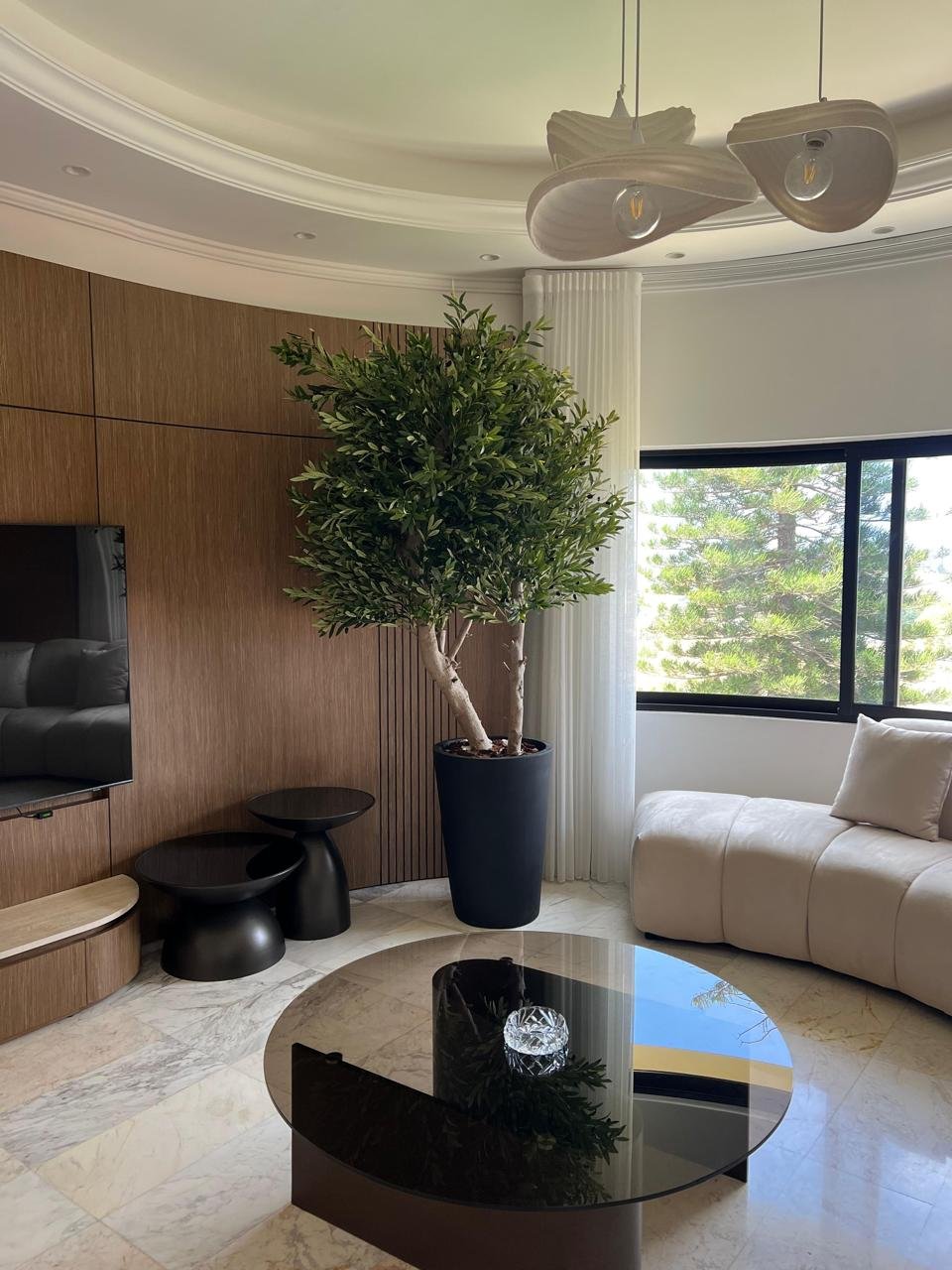 Customized Olive Tree – 2.8m
